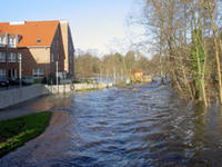 Bild vergrößern: Überschwemmung des Richard-Fröhlich-Wegs Januar 2008